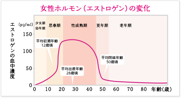 女性ホルモン　骨密度