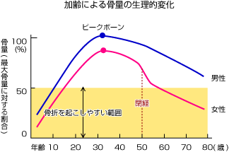 加齢　骨密度