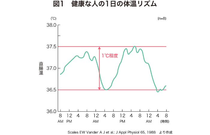 1日の体温