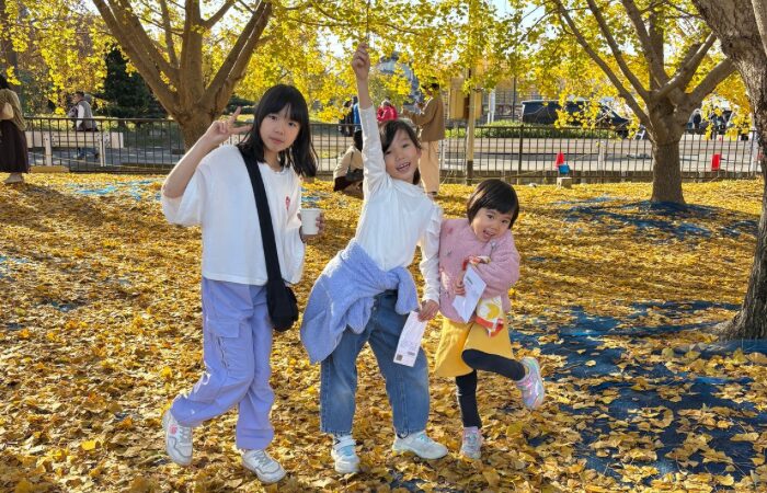 イチョウまつり